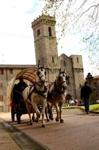 abbadia_citta_fiaccole_11
