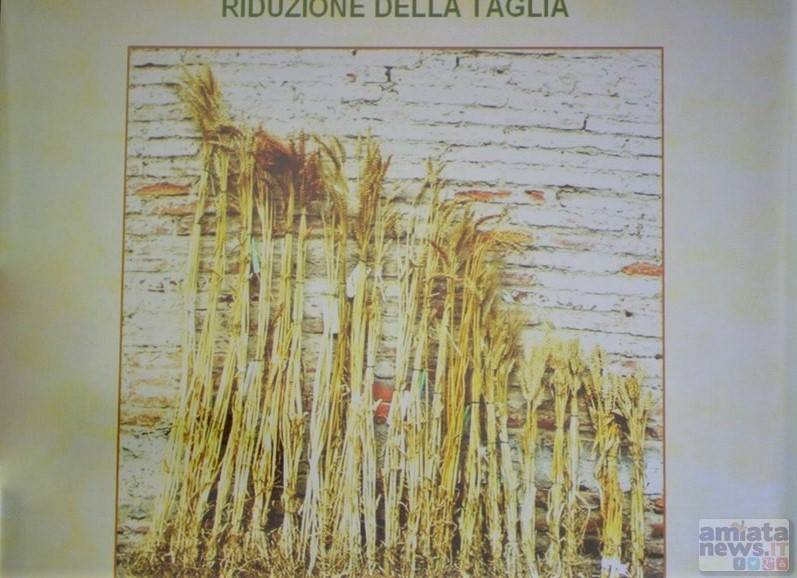 Abbadia_San_Salvatore_Convegno_Grani_Antichi_20270330_20160409_09