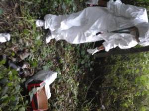 Piancastagnaio_ritrovamento_cuccioli_cane_20160627_01