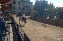 Castel del Piano. Palio: aperte le iscrizioni per le batterie Castel_del_Piano_Palio_2015_Tratta_09_20150906