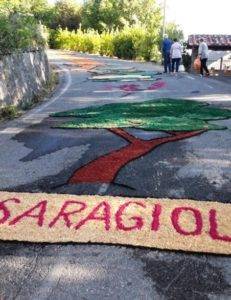 Saragiolo_Tappeto_Floreale_20170814_183338_2