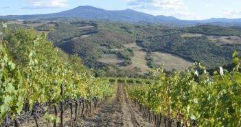 Val d’Orcia. Vendemmia 2017: calo produttivo oltre la media regionale, ma buona qualità. Val_dOrcia_Vendemmia_2017_Orcia_DOC