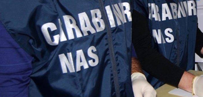 Buonconvento. NAS Carabinieri in azione: scoperto allevamento suini irregolare Carabinieri_NAS_01