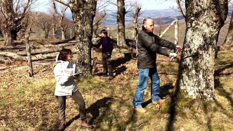 Amiata_Progetto_Open_Riccio_Castagneto_01
