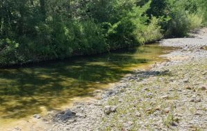 PiancastagnaioTorrente_Senna_20190702_143602