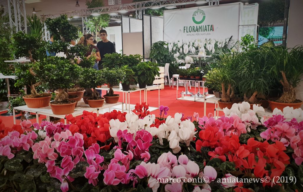 Piancastagnaio_Floramiata_Flormart_2019_20190926_122631
