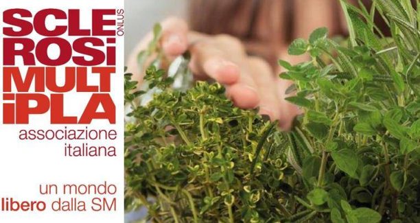 AISM_Settimana_2017_01_locandina_particolare