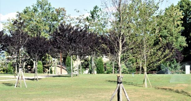Abbadia_San_Salvatore_Parco_Rimembranza_20200718__DSC2428