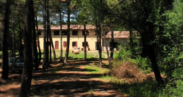 Acquapendente_Casale_Podernovo_01
