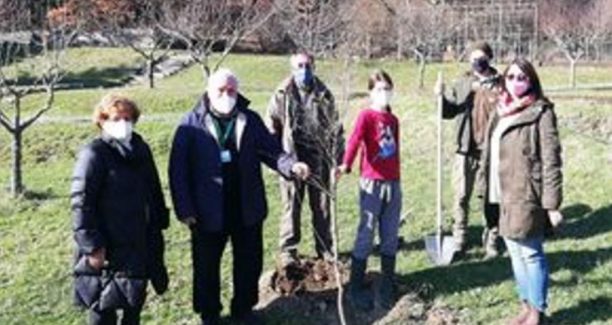 Acquapendente_Piantumazione_Alberi_Parco_Pineta_20210411