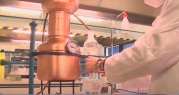 Acquapendente_Servizio_RAI3_Santolina_SantoCream_01