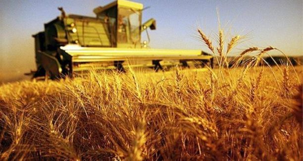 Agricoltura_01