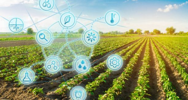 Agricoltura_digitale_01