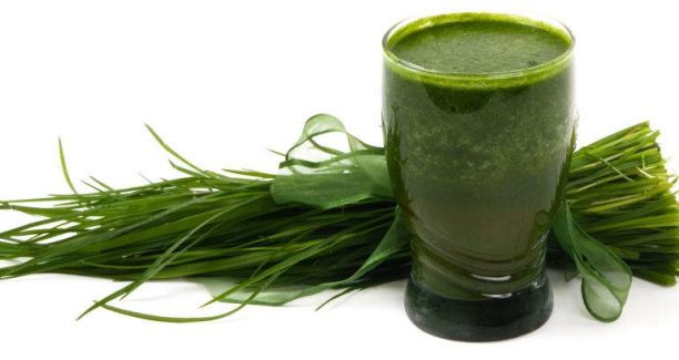 Alga_Spirulina_03