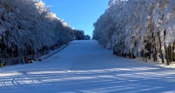 Amiata_Campo_Scuola_Vetta_20241222_01