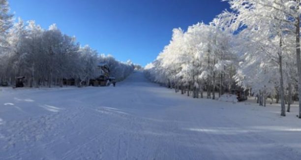 Vetta Amiata 20/01/2017 - Foto ripresa dalla pagina twitter @amiataneve