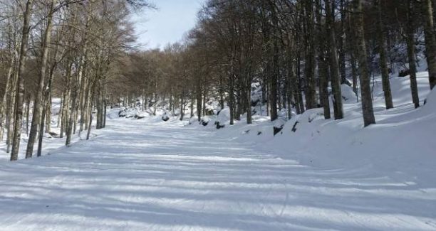Amiata - Pista da sci (Foto Stampa Siena)