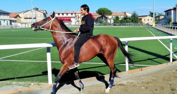 Andrea_Mari_IMG_20160811_174112