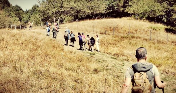 Arcidosso_Parco_Faunistico_Monte_Amiata_11