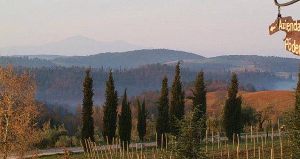 Asciano_podere_alberese_01