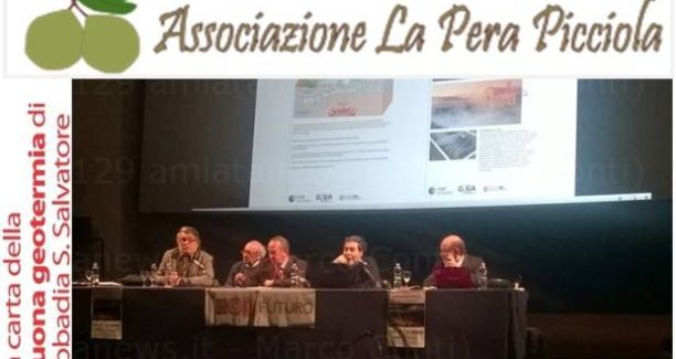 Ass_Pera_Picciola_Buona_Geotermia_00