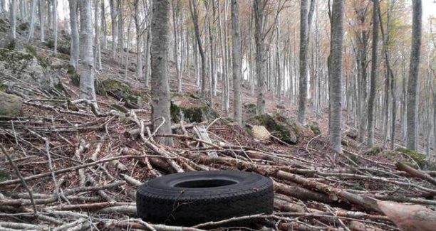 associazione_amici_del_monte_amiata_01