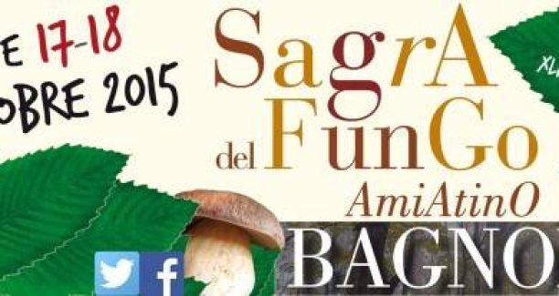 Bagnolo_Sagra_Fungo_Amiatino_2015_Copertina