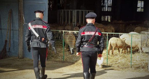Carabinieri_59