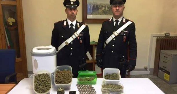 Carabinieri_Montepulciano_sequestro_stupefacenti_01