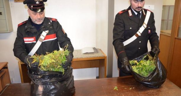 Carabinieri_sequestro_stupefacente_01