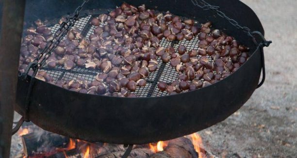 Castagne_fuoco_01