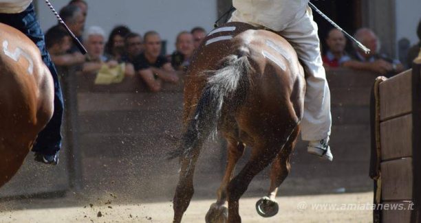 Castel_del_Piano_Palio_2017_Batterie_Assegnazione_Cavalli_20170906_DSC_0021