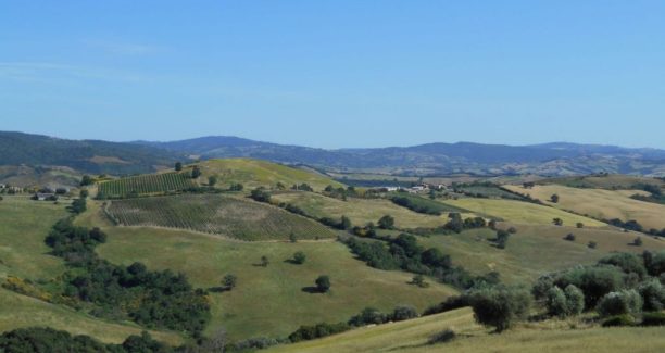 Cinigiano_Campagna_01