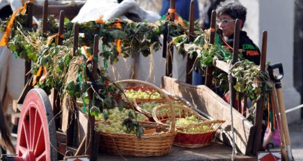 Cinigiano_Festa_Uva_01