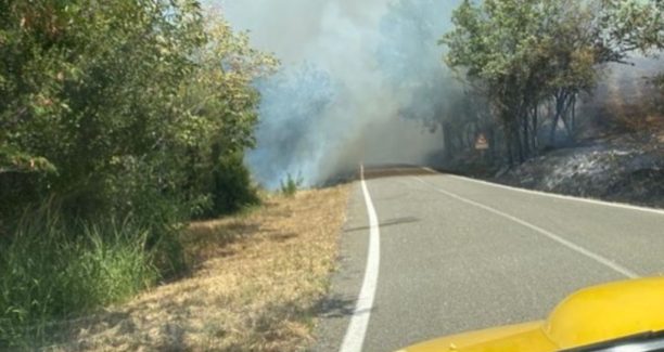 Cinigiano_Incendio_20220724_02