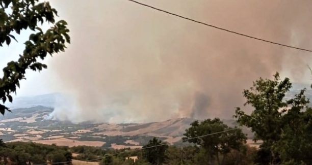 Cinigiano_Incendio_20220724_03