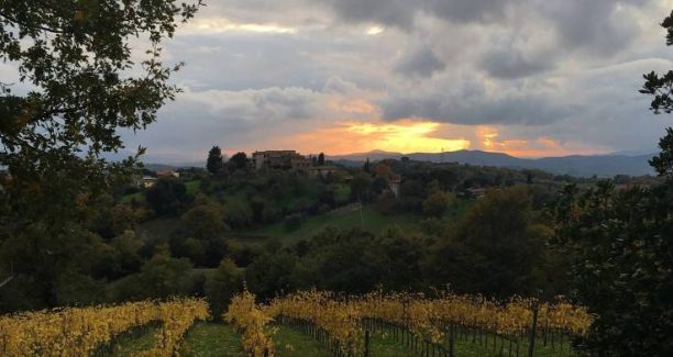 Cinigiano_Poggi_al_Sasso_01