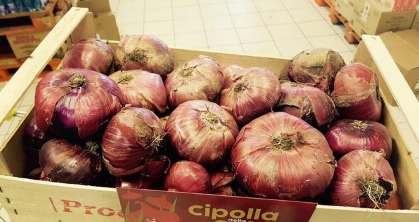 Cipolla_della_Selva_di_Santa_Fiora_03_01