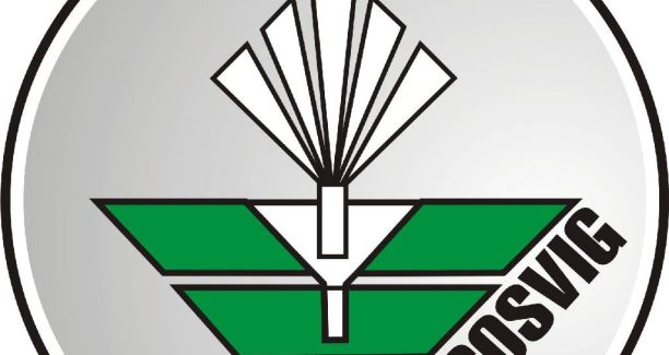 CoSViG_logo_01