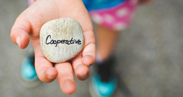 Cooperative_scritta_sasso_mano_01