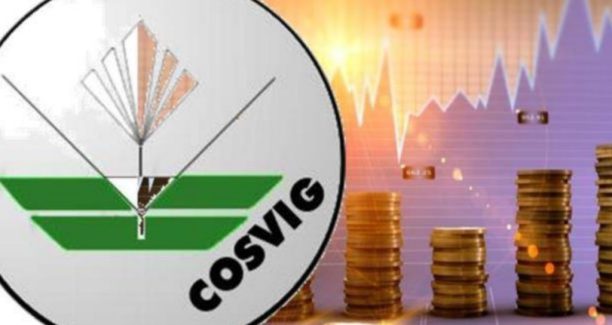 Cosvig_finanziamenti_01