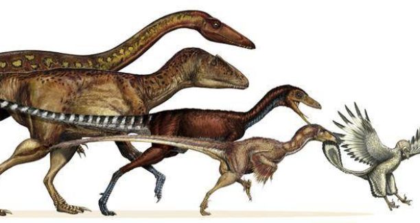 Dinosauri_evoluzione
