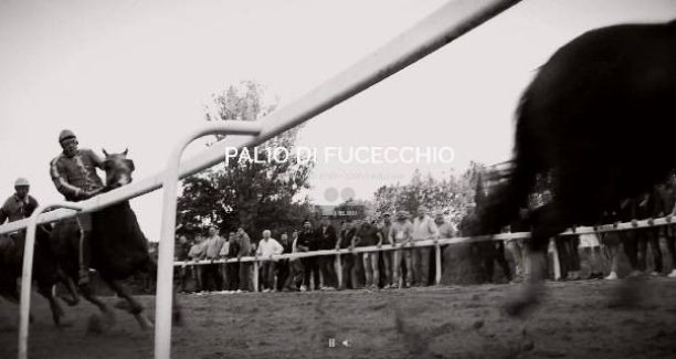 Fucecchio_Palio_Sito_web_2016_01