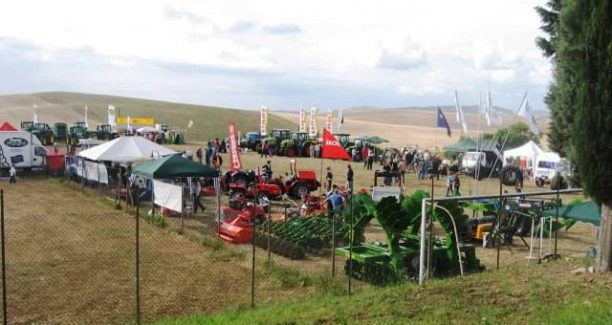 Gallina_Val_dOrcia_in_Fiera_00
