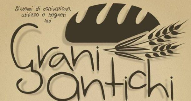 Grani_Antichi_20160409_alto