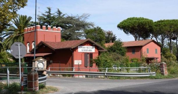 Grosseto_CEMIVET