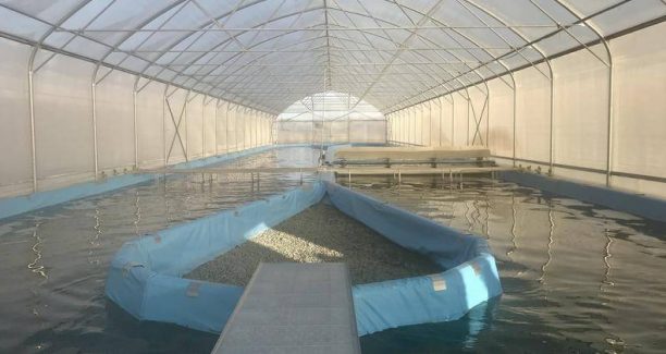 Grosseto_Tenuta_San_Lorenzo_Alga_Spirulina_Vasca_02