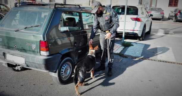 Guardia_di_Finanza_Unità_Cinofila_01