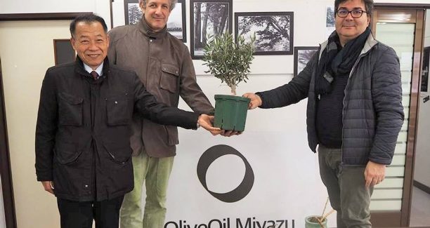 Luciano_Gigliotti_Comune_Miyazu_Caselli_01