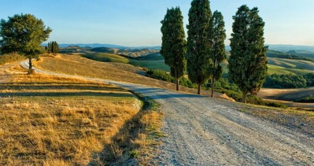 Maremma_05